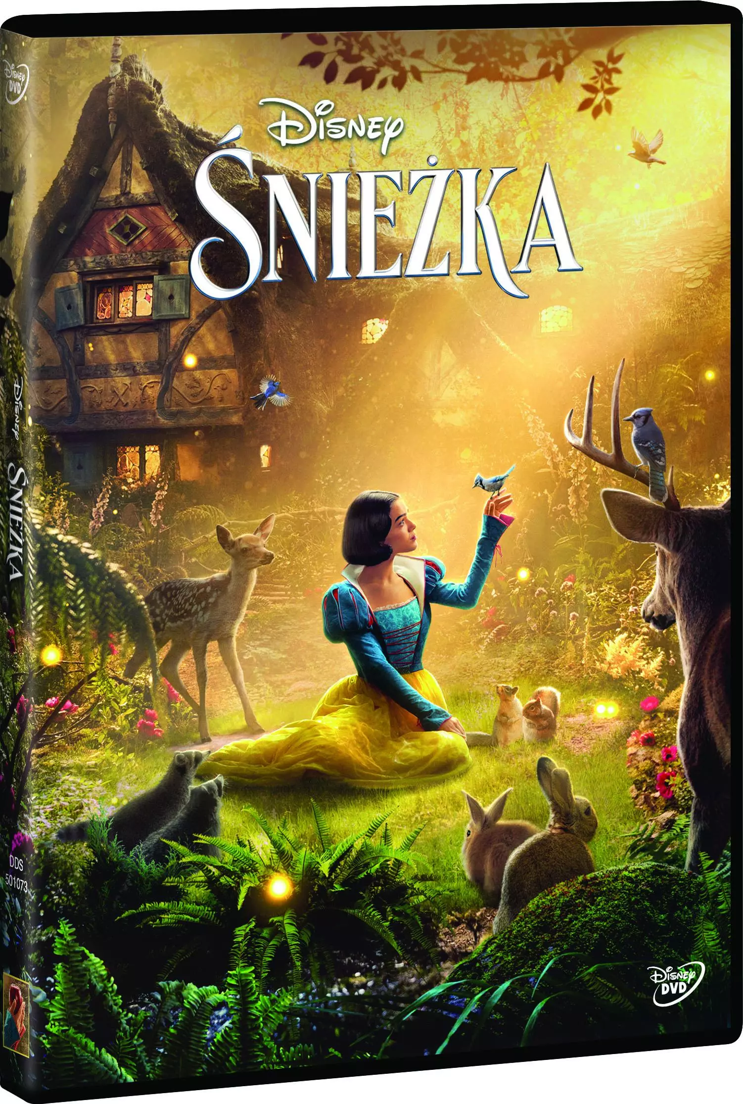 Śnieżka, DVD - Filmy