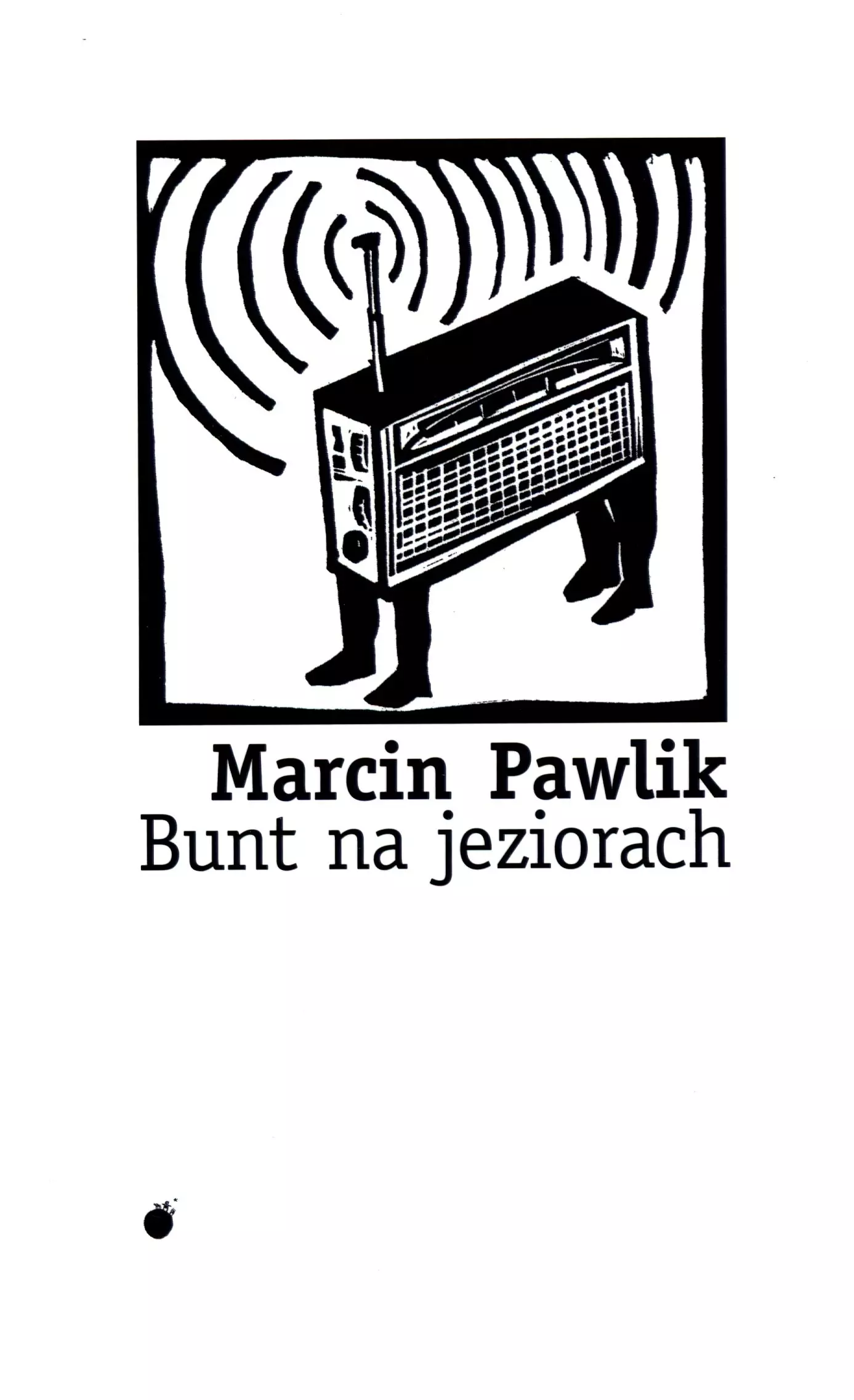 Bunt na jeziorach - Książki