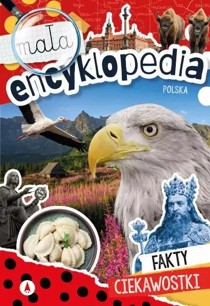 Mała encyklopedia. Polska - Książki