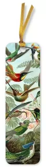 Zakładka do książki BKMK82 Kolibry Ernst Haeckel - Papiernicze i szkolne