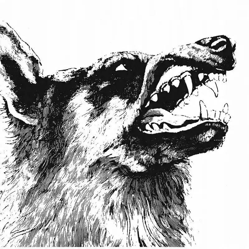 I Vigilante LP BLACK, Winyl - Muzyka