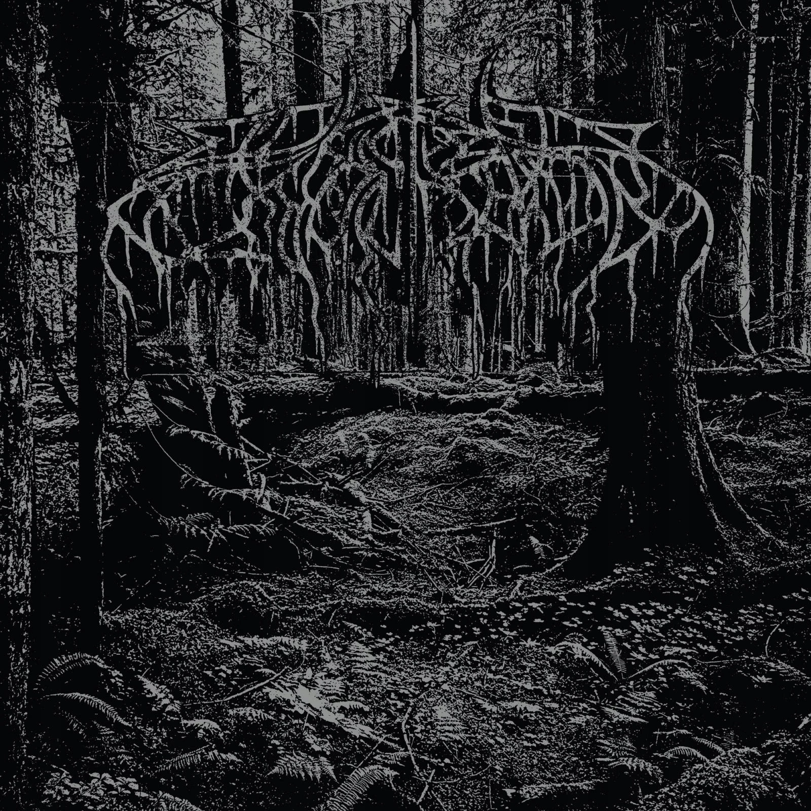 2005 Demo LP, Winyl - Muzyka