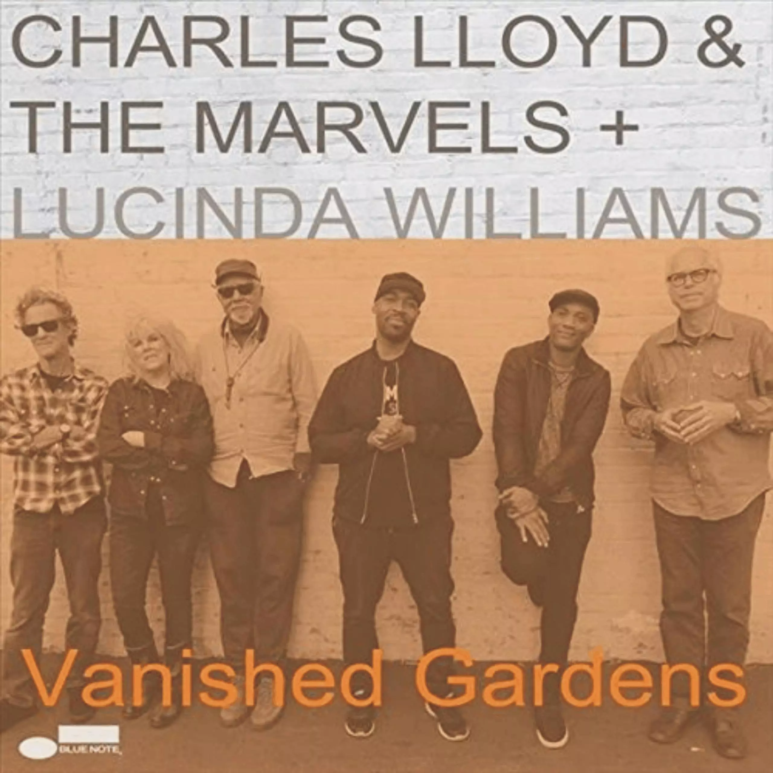 Vanished Gardens, 2 LP - Muzyka