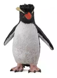 Pingwin rockhopper - Książki