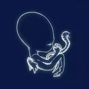Ág?tis byrjun. Winyl - Muzyka