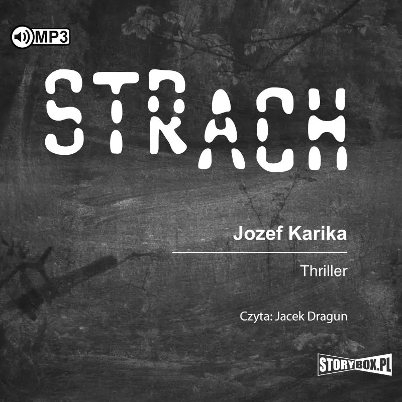 Strach. Audiobook - Audiobooki