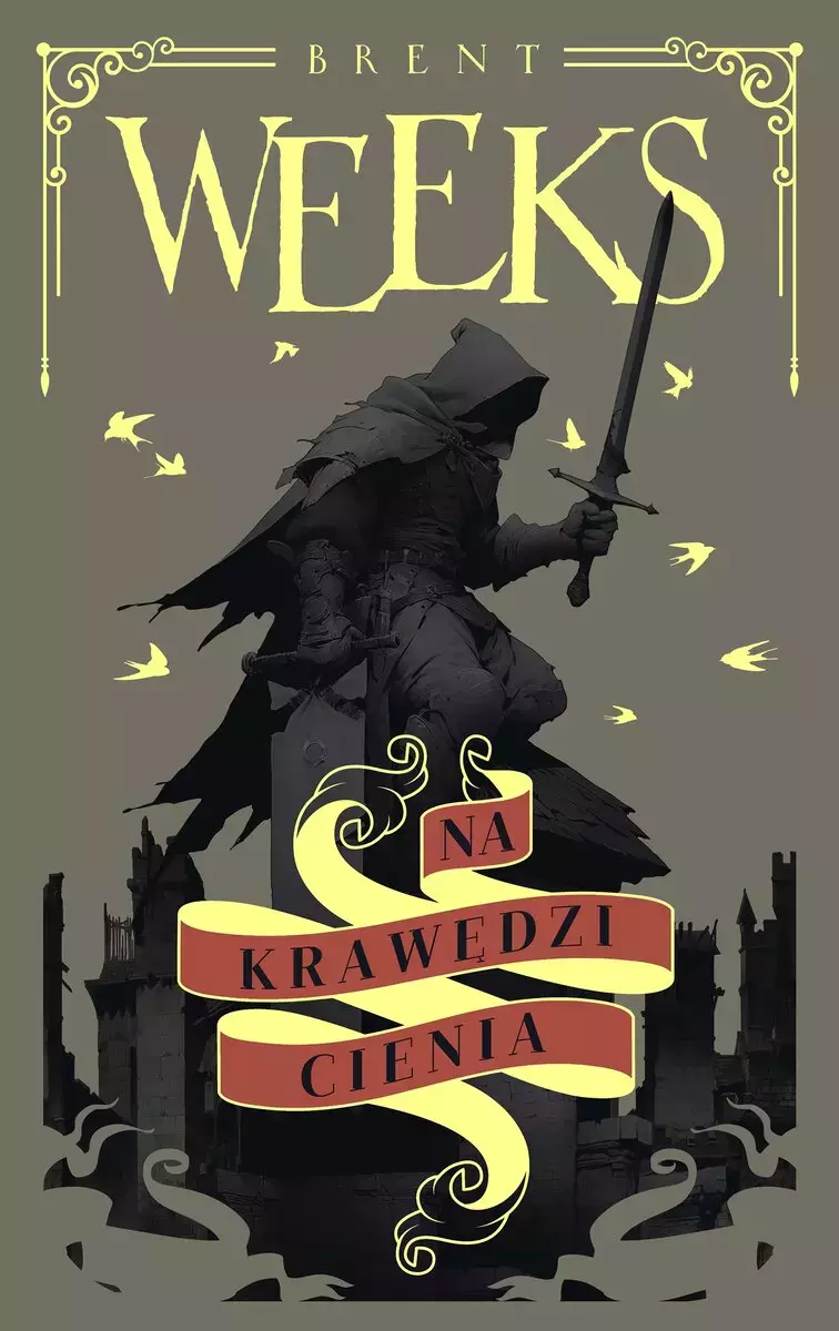 Anioł Nocy. Tom 2. Na krawędzi Cienia - Książki