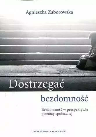 Dostrzegać bezdomność. Bezdomność w perspektywie pomocy społecznej - Książki