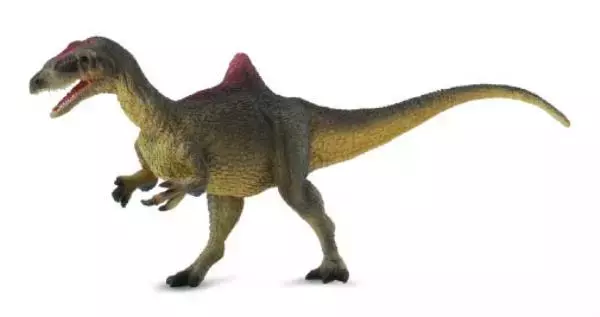 Dinozaur Concavenator L - Książki